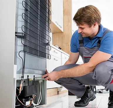 Our refrigerator repair services offer reliable solutions, ensuring your appliance works like new.